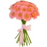 Герберы караловые